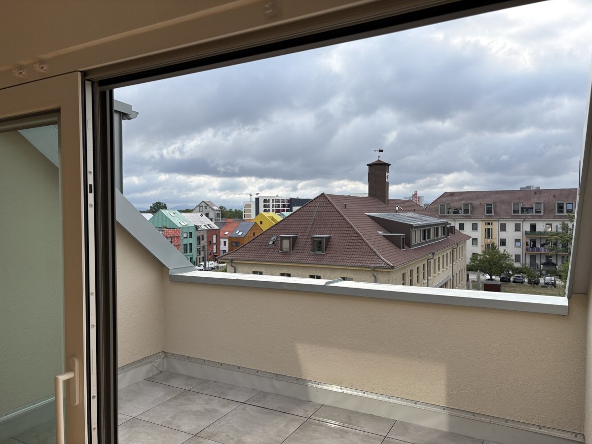 Img 7451