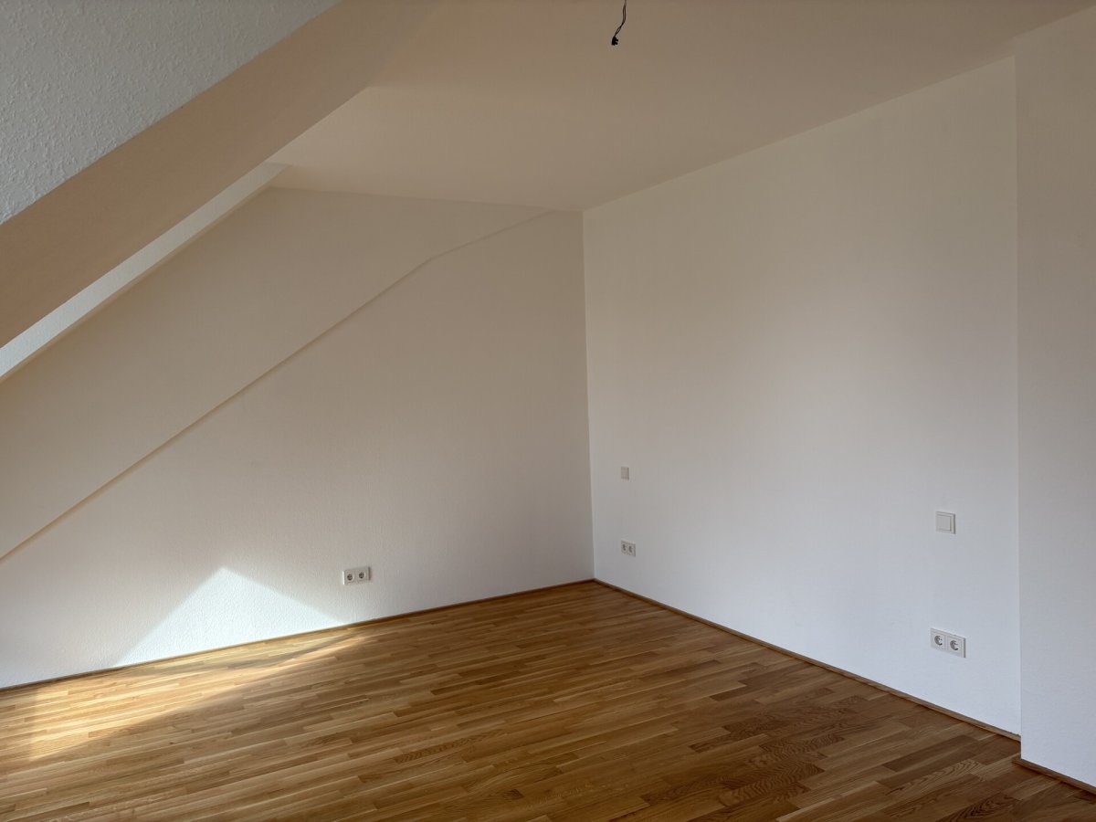 Img 7455